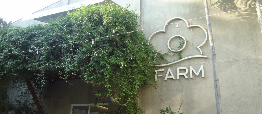 Casa farm sao cri 2