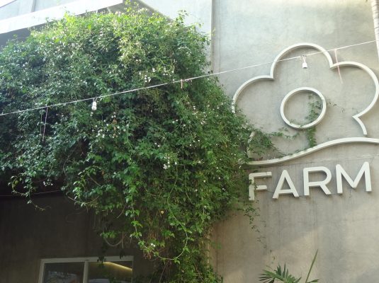 Casa farm sao cri 2